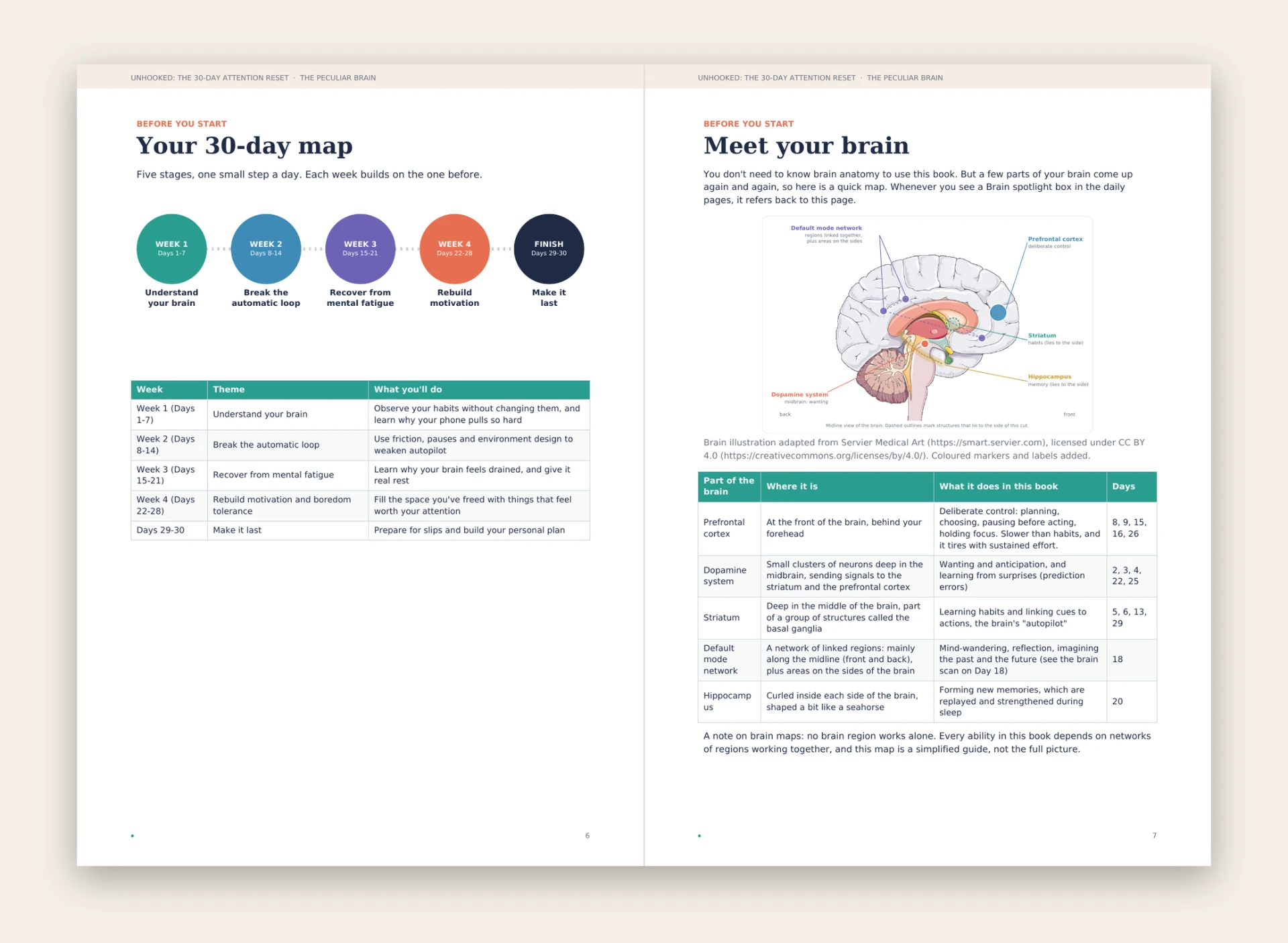 Before you start: your 30-day map and Meet your brain